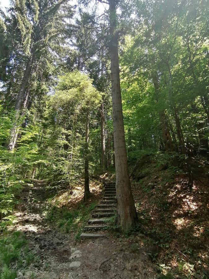 Petkovi Аpartments, Borovets Gardens - One-Bedroom And Two-Bedroom Apartments 外观 照片