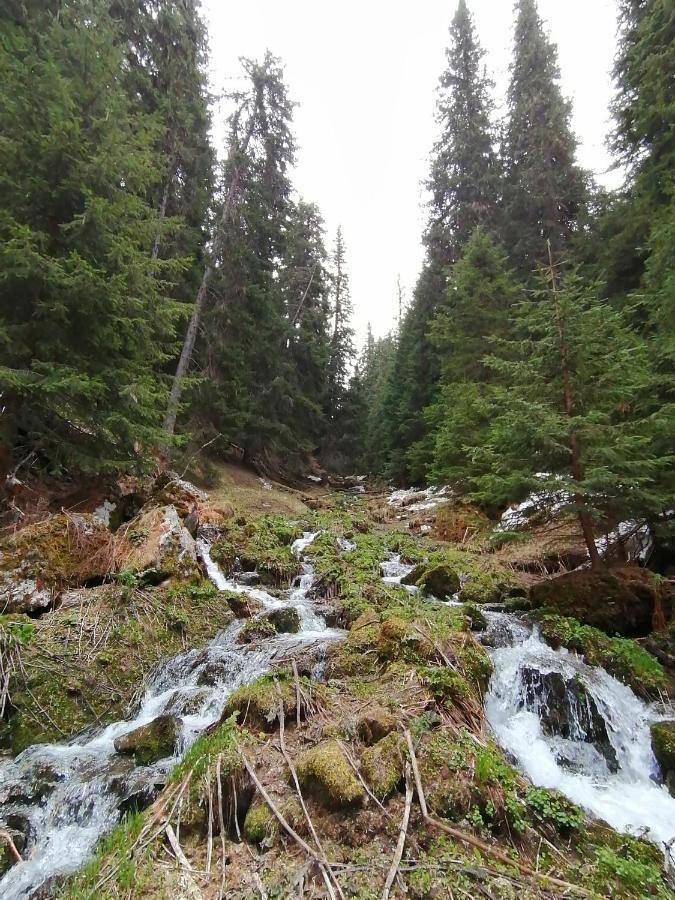 Petkovi Аpartments, Borovets Gardens - One-Bedroom And Two-Bedroom Apartments 外观 照片