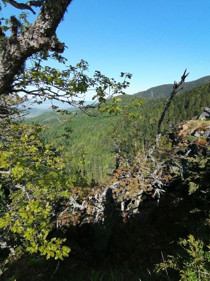 Petkovi Аpartments, Borovets Gardens - One-Bedroom And Two-Bedroom Apartments 外观 照片